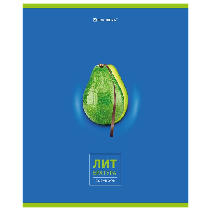 Тетрадь предметная "AVOCADO" 48 л., глянцевый лак, ЛИТЕРАТУРА, линия, подсказ, BRAUBERG, 404281 404281 - фото 182243