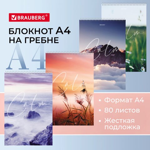 Блокнот БОЛЬШОЙ ФОРМАТ А4 198х297 мм, 80 л., гребень, жесткая подложка, клетка, BRAUBERG, "Calm", 114357 114357 - фото 267970