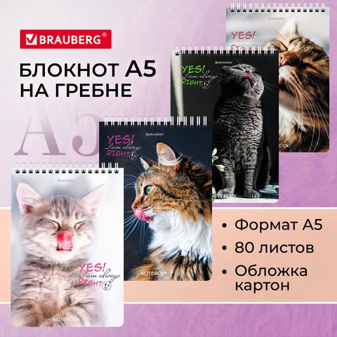 Блокнот А5 (146х206 мм), 80 л., гребень, картон, клетка, BRAUBERG, "Довольные коты", 114374 114374 - фото 267987