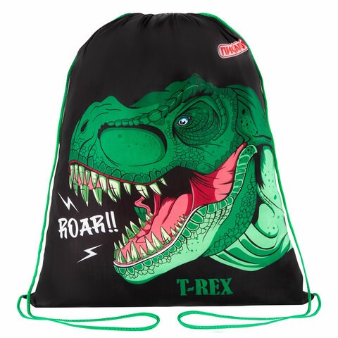 Мешок для обуви ПИФАГОР, 1 отделение, 42х34 см, "Dino roar", 272387 272387 - фото 274756