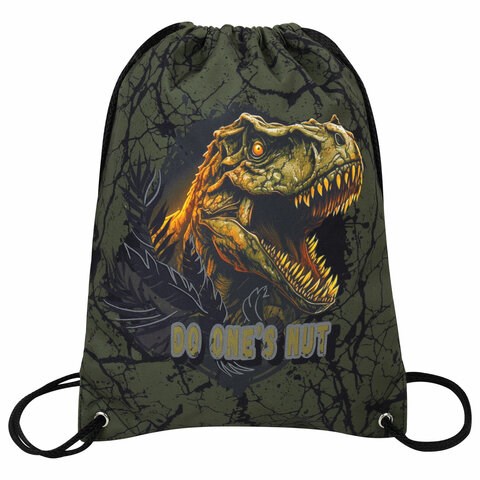 Мешок для обуви BRAUBERG PREMIUM, карман, подкладка, светоотражайка, 43х33 см, Dino attack, 272424 272424 - фото 274786