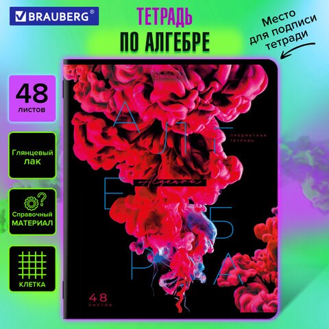 Тетрадь предметная PIGMENT 48 л., глянцевый УФ-лак, АЛГЕБРА, клетка, подсказ, BRAUBERG, 404758 404758 - фото 278526