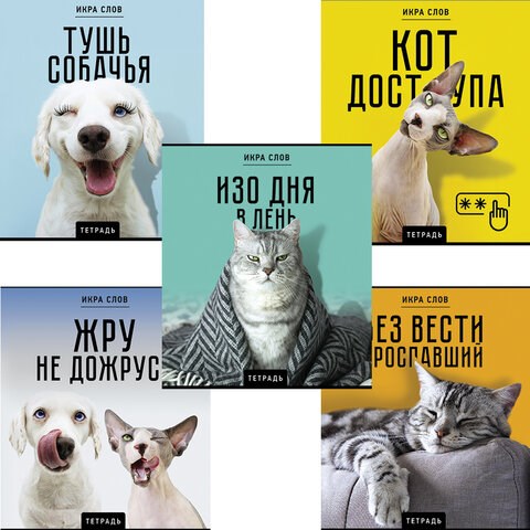 Тетрадь А5 48 л., ПЗБМ, скоба, клетка, конгрев, TWIN-лак, "Икра слов", (5 видов), 27377 405009 - фото 302475