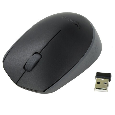 Мышь беспроводная LOGITECH M171, 2 кнопки + 1 колесо-кнопка, оптическая, черная, 910-004424 511997 - фото 303635
