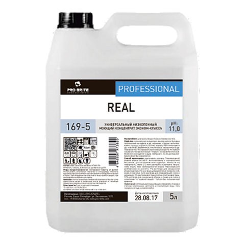 Средство моющее универсальное 5 л, PRO-BRITE REAL, щелочное, низкопенное, концентрат, 169-5 605292 - фото 306097