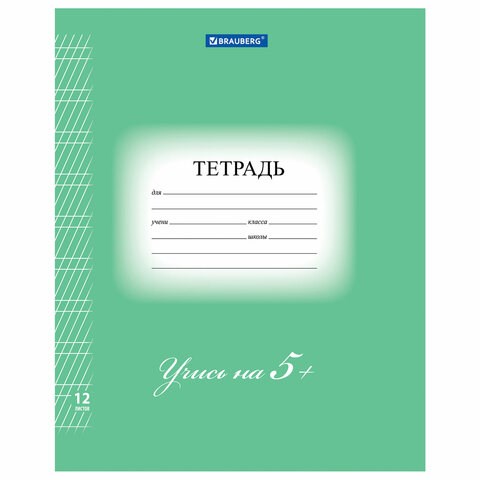 Тетрадь 12 л. BRAUBERG ЭКО 5-КА, частая косая линия, обложка плотная мелованная бумага, ЗЕЛЕНАЯ, 104766 104766 - фото 322891