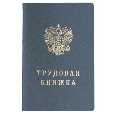 Бланк документа Трудовая книжка, 88х125 мм, ГОЗНАК 121229 - фото 324199