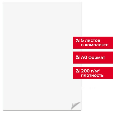 Ватман формат А0 (1200х840 мм), ГОЗНАК С-Пб, плотность 200 г/м2, КОМПЛЕКТ 5 листов, BRAUBERG, 126310 126310 - фото 324460
