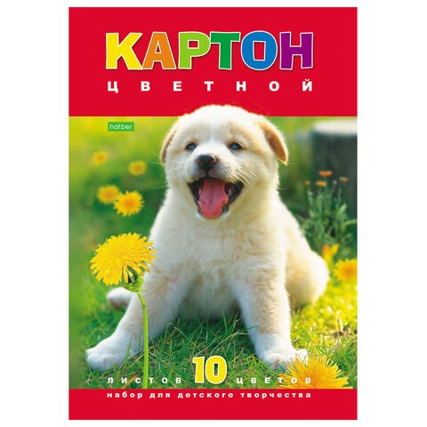 Картон цветной А4 МЕЛОВАННЫЙ, 10 листов 10 цветов, в папке, HATBER VK, 195х290 мм, Белый щенок, 10Кц4 03414 128038 - фото 324561