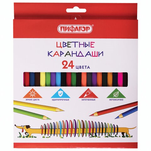Карандаши цветные ПИФАГОР "Веселая такса", 24 цвета, шестигранные, натуральное дерево, 181808 181808 - фото 326568