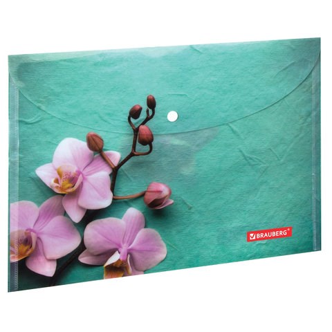 Папка-конверт с кнопкой BRAUBERG FLOWER, А4, 160 мкм, до 100 листов, цветная печать, 228031 228031 - фото 328404