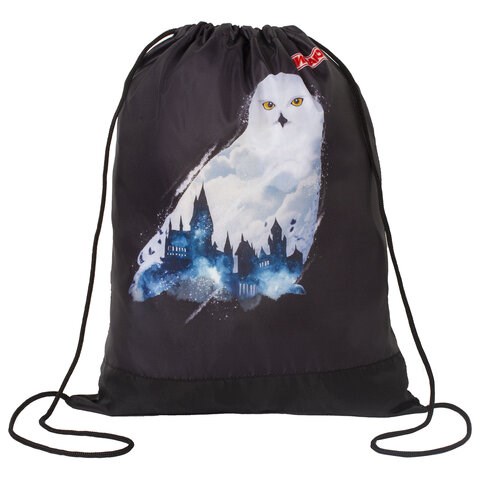 Мешок для обуви ПИФАГОР, 1 отделение, 42х34 см, "White Owl", 270182 270182