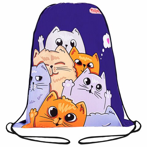 Мешок для обуви ПИФАГОР, 1 отделение, 42х34 см, "Cats greetings", 272382 272382 - фото 330474