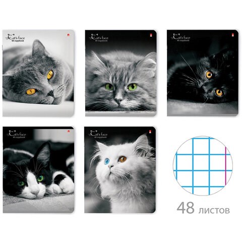 Тетрадь А5 48 л. АЛЬТ скоба, клетка, глянцевый лак, "Кошки. Яркий взгляд" (5 видов), 7-48-1019 404114 - фото 334084