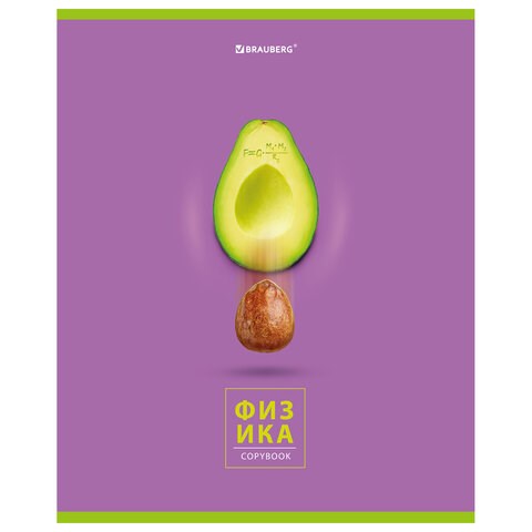 Тетрадь предметная "AVOCADO" 48 л., глянцевый лак, ФИЗИКА, клетка, BRAUBERG, 404283 404283 - фото 334104