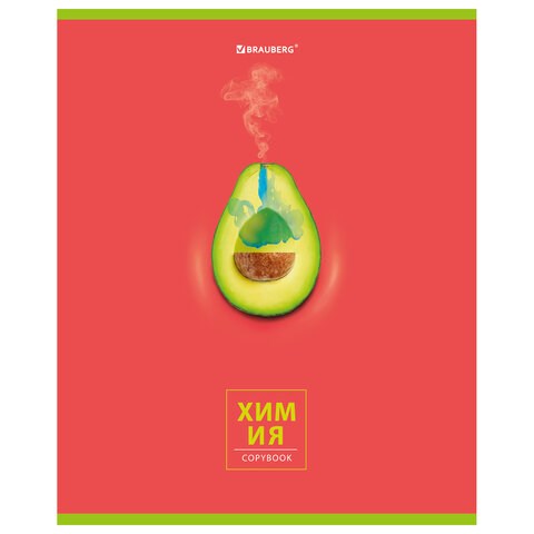 Тетрадь предметная "AVOCADO" 48 л., глянцевый лак, ХИМИЯ, клетка, BRAUBERG, 404284 404284 - фото 334105