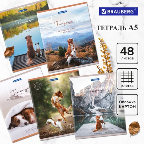 Тетрадь А5 48 л. BRAUBERG скоба, клетка, обложка картон, Best Friends (микс в спайке), 404360 404360 - фото 334125