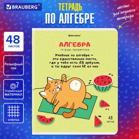 Тетрадь предметная "КОТ-ЭНТУЗИАСТ" 48 л., TWIN-лак, АЛГЕБРА, клетка, подсказ, BRAUBERG, 404556 404556 - фото 334204
