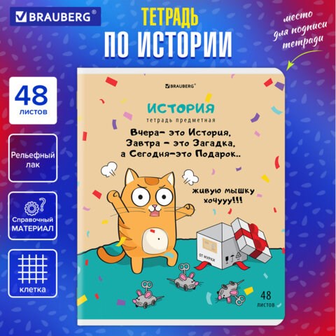 Тетрадь предметная "КОТ-ЭНТУЗИАСТ" 48 л., TWIN-лак, ИСТОРИЯ, клетка, подсказ, BRAUBERG, 404563 404563 - фото 334211
