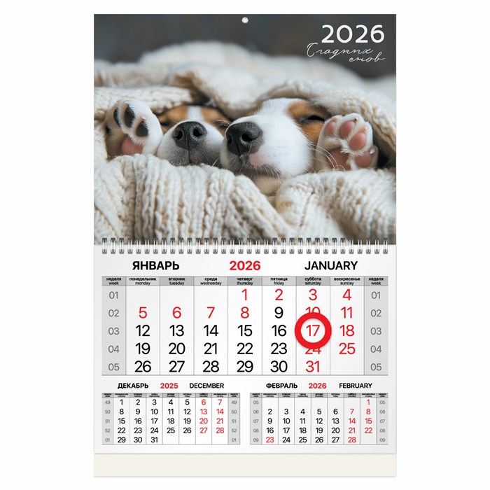 Календарь квартальный 2026 г., 1 блок, 1 гребень, магнитный курсор, мелованная бумага, BRAUBERG, "Носики", 116922 116922 - фото 341662