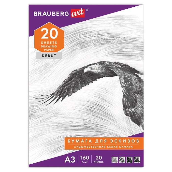 Папка для рисования БОЛЬШОГО ФОРМАТА А3, 20 л., 160 г/м2, BRAUBERG, 297х420 мм, "Орел", 125228 125228 - фото 342659