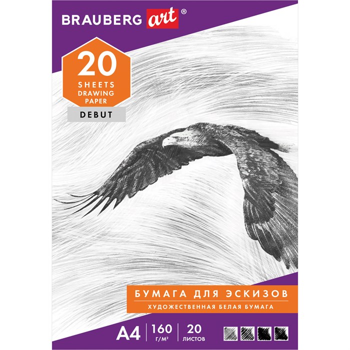 Папка для рисования А4, 20 л., 160 г/м2, BRAUBERG, 210х297 мм, "Орел", 125230 125230 - фото 342730