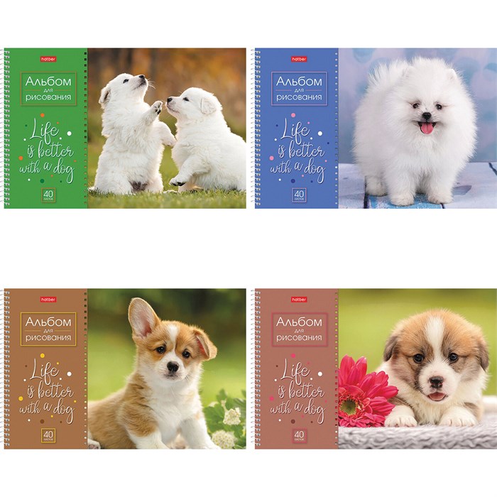 Альбом для рисования А4 40 л., спираль, обложка картон, HATBER, 205х290 мм, "Doggie-Щенки" (4 вида), 067478 113081 - фото 346324