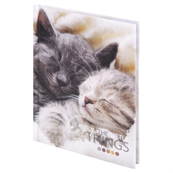 Блокнот МАЛЫЙ ФОРМАТ (110х147 мм), А6, 80 л., твёрдый, клетка, STAFF, "Котики", 114439 114439 - фото 350299