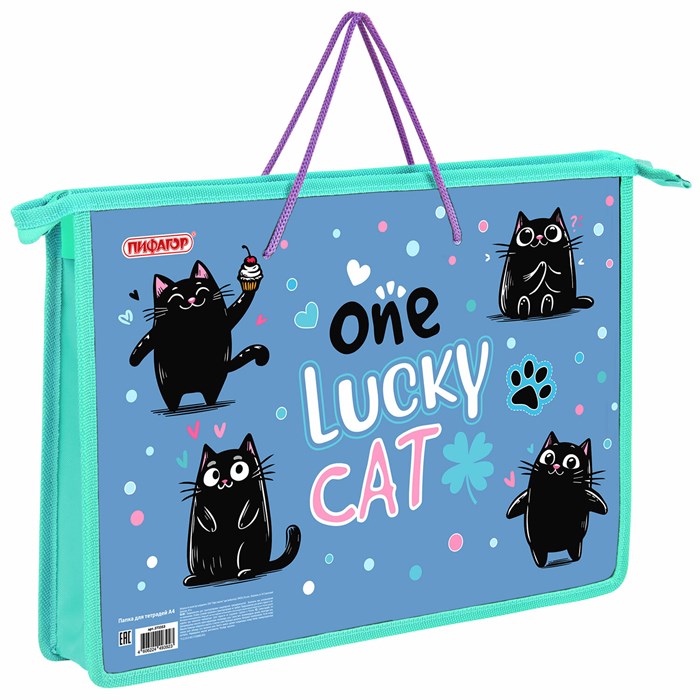 Папка на молнии с ручками ПИФАГОР А4, 1 отделение, пластик, ручки-шнурок, "Funny cats", 273353 273353 - фото 358417