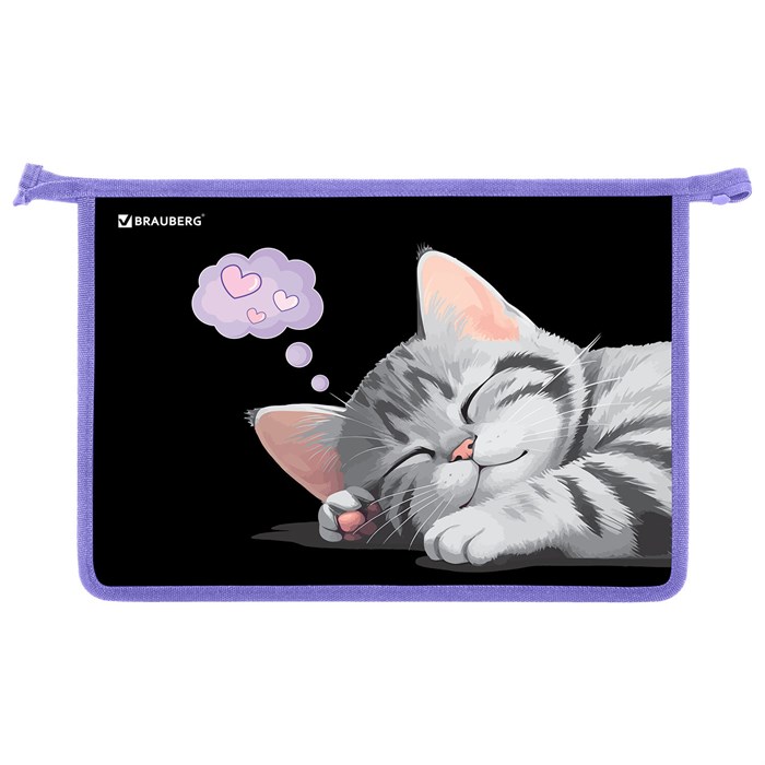 Папка для труда на молнии BRAUBERG А4, 2 отделения, органайзер, "Sleeping kitten", 273401 273401 - фото 360549