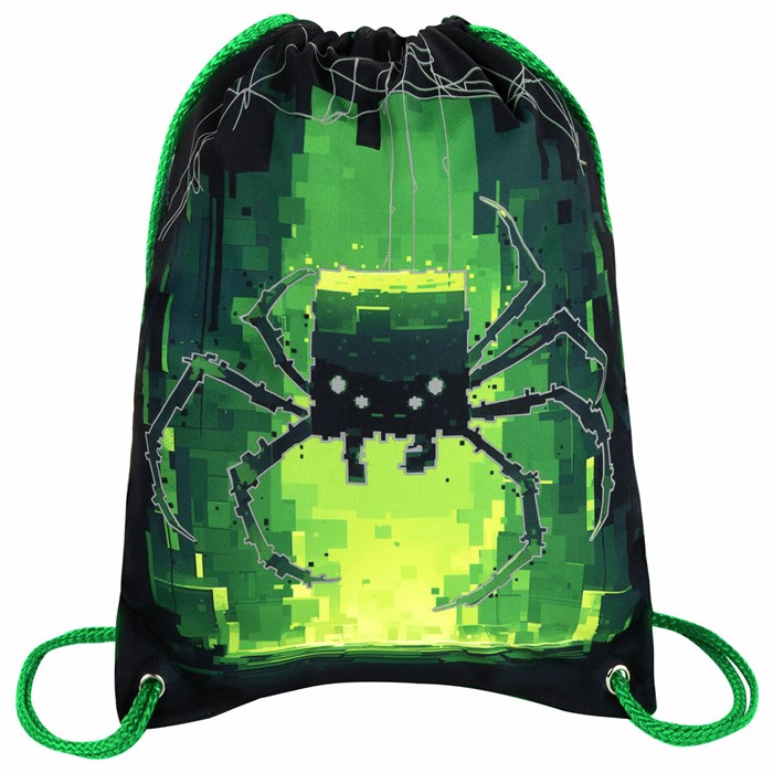 Мешок для обуви BRAUBERG PREMIUM, карман, подкладка, светоотражайка, 43х33 см, "Digital spider", 273444 273444 - фото 360996