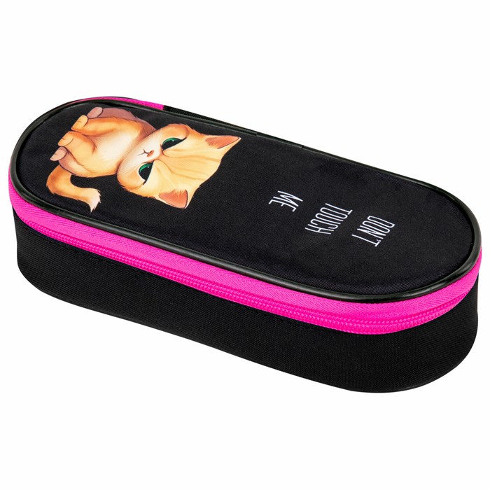 Пенал-футляр BRAUBERG, 1 отделение, органайзер, полиэстер, 22x9х5 см, "Angry kitty", 273566 273566 - фото 361065