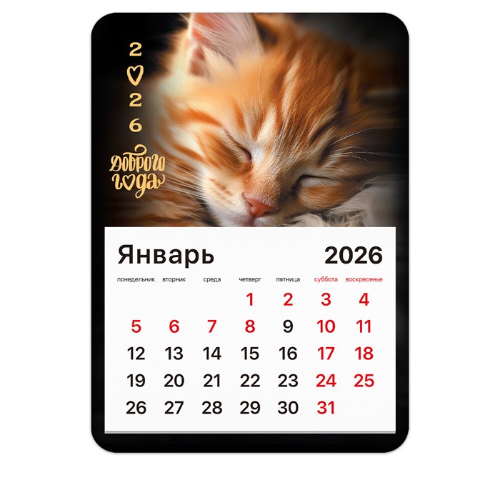 Календарь отрывной на магните на 2026 г., BRAUBERG, 130x180 мм, склейка, "Котик", 117289 117289 - фото 367002