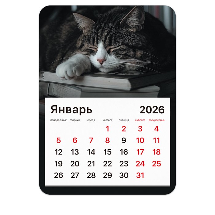 Календарь отрывной на магните на 2026 г., BRAUBERG, 130x180 мм, склейка, "Спящий кот", 117292 117292 - фото 367008