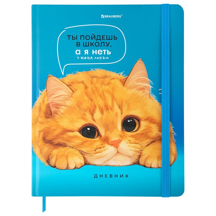 Дневник 1-11 класс 48 л., твердый, BRAUBERG, матовая ламинация, резинка, закладка-ляссе, с подсказом, "Котик", 107239 107239