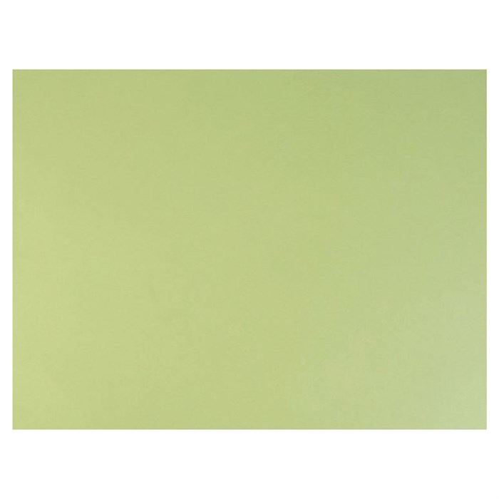 Бумага для пастели (1 лист) FABRIANO Tiziano А2+ (500х650 мм), 160 г/м2, салатовый теплый, 52551011 129950