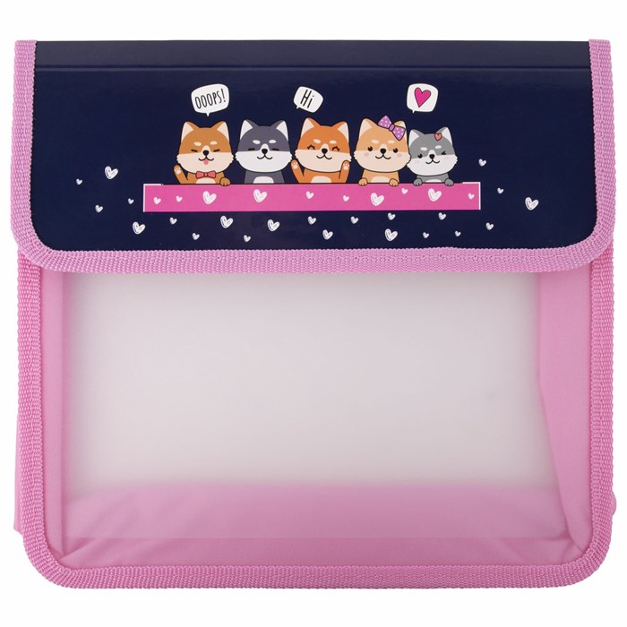 Папка для тетрадей ЮНЛАНДИЯ А5, пластик, 2 отделения, клапан на липучке, "Dream Team", 271490 271490