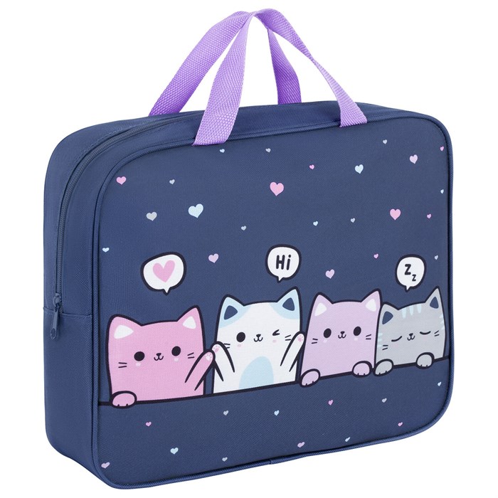 Папка на молнии с ручками BRAUBERG KIDS А4, 1 отделение, полиэстер, 80 мм, "Anti-gravity", 273313 273313