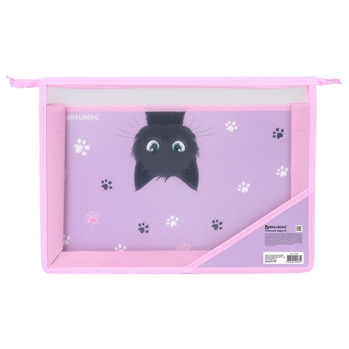 Папка для труда BRAUBERG А4, 2 отделения, пластик, молния сверху, органайзер, "Hide and seek", 273399 273399