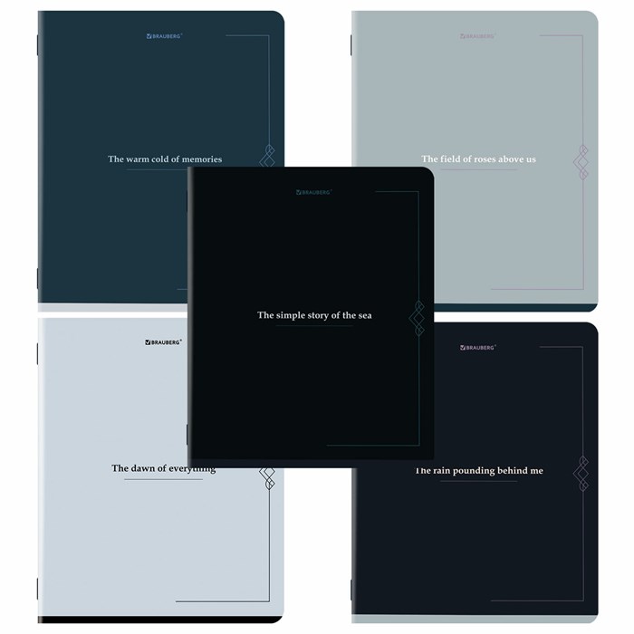 Тетрадь А5, 48 л., BRAUBERG, скоба, клетка, SoftTouch, "Vintage", (микс в спайке), 405328 405328