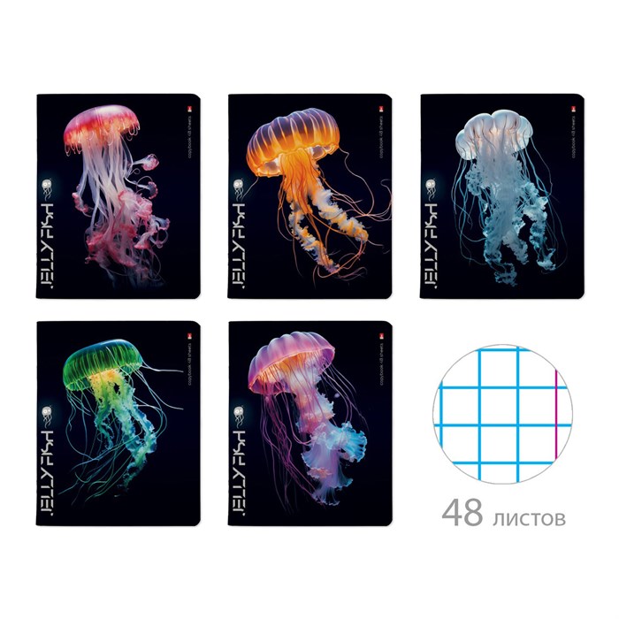 Тетрадь А5 48 л. АЛЬТ скоба, клетка, TWIN-лак, "Медузы фэнтези" (5 видов), 7-48-1331 405397