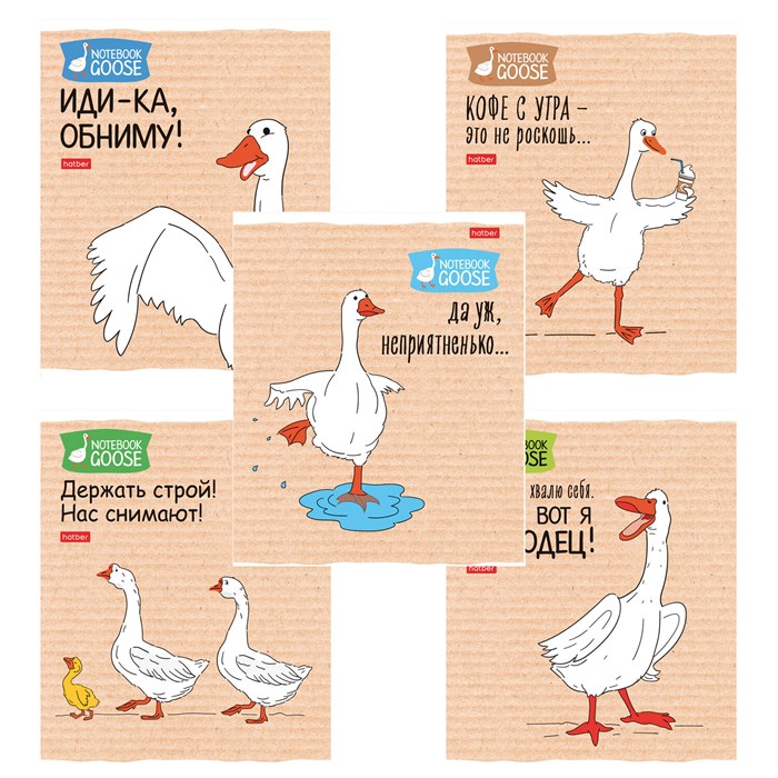 Тетрадь А5 48 л., HATBER скоба, клетка, обложка картон, "Гусь - веселюсь_Выпуск №2" (микс), 078789, 48Т5В1 405456