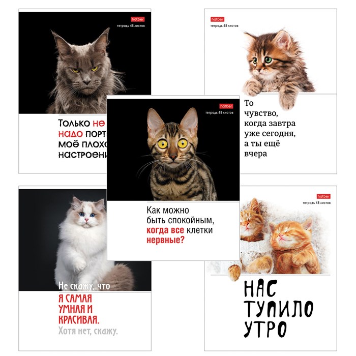 Тетрадь А5 48 л., HATBER скоба, клетка, обложка картон, "Котоюмор" (микс в спайке), 079790, 48Т5В1 405460