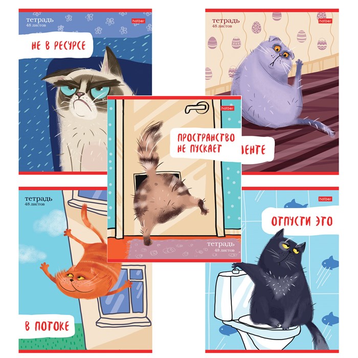 Тетрадь А5 48 л., HATBER скоба, линия, обложка картон, "Кот-обормот" (микс в спайке), 080206, 48Т5В2 405472