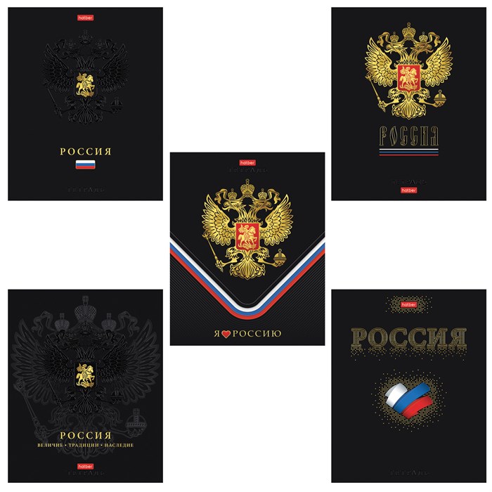 Тетрадь А5 48л. HATBER скоба, клетка, матовая ламинация, 3D фольга, 3D лак, Россия (м, 48Т5лофлВ1 405608