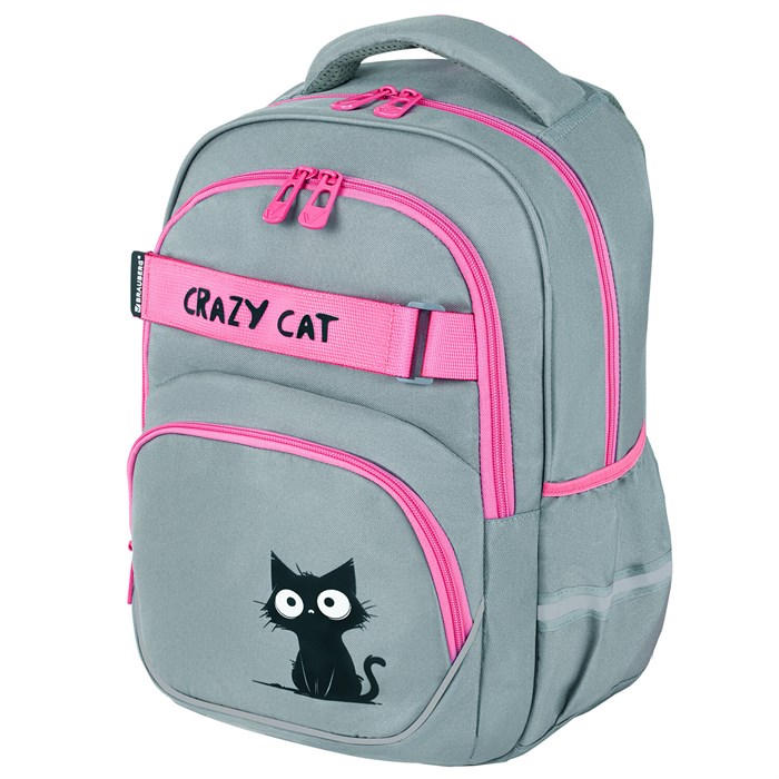 Рюкзак BRAUBERG MOTION, 2 отделения, 3 кармана, "Crazy cat", 41х28х17 см, 273115 273115