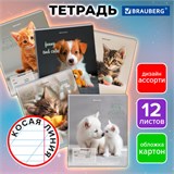 Тетрадь 12 л. BRAUBERG косая линия, обложка картон, CATS AND DOGS, 107288 107288