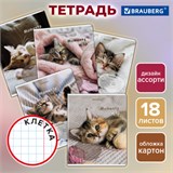 Тетрадь 18 л. BRAUBERG клетка, обложка картон, КОТЯТА, 107292 107292