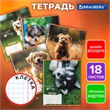 Тетрадь 18 л. BRAUBERG клетка, обложка картон, СОБАЧКИ, 107295 107295