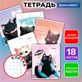 Тетрадь 18 л. BRAUBERG клетка, обложка картон, КОТИКИ, 107300 107300